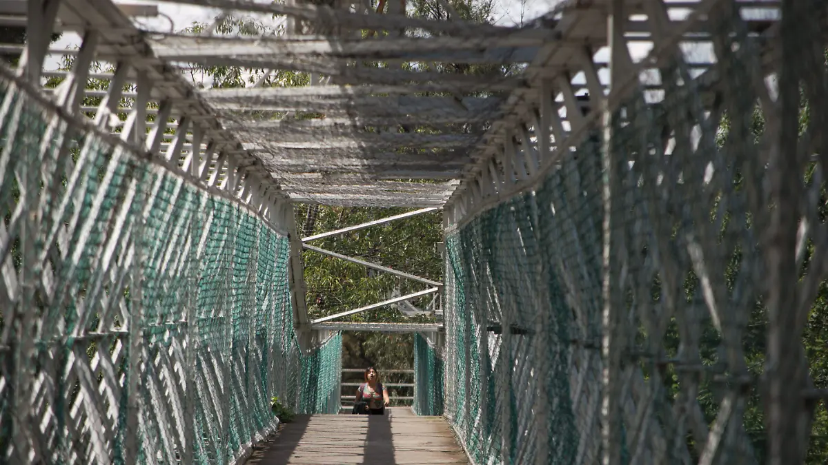 PUENTES PEATONALES_AJO (10)